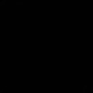 Meet your Posher, Hani'el